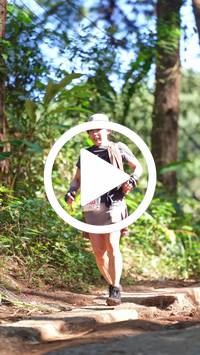 BIB:  <button type="button" onclick="openModal(26787754)" class="btn btn-primary btn-sm float-right" data-toggle="modal" data-target=".modal-high-quality">
                <i class="fa fa-download"></i> Download
                </button>